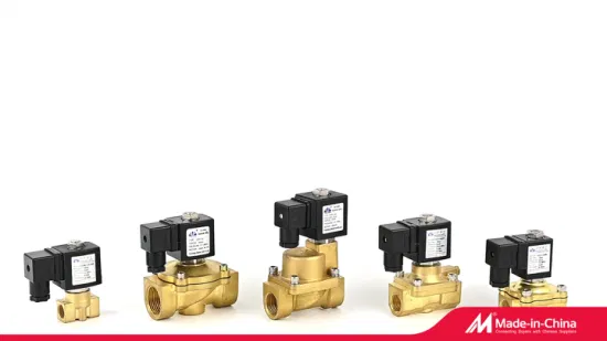 Yongchuang 2W21 Series Brass 2 Inch 24V DC 220V Water Air Solenoid Valve